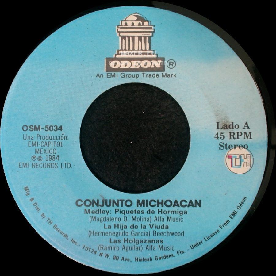 Conjunto Michoacan - Medley: Piquetes De Hormiga / La Hija De La Viuda / Las Holgazanas / Medley: Piquetes De Hormiga / La Hija De La Viuda / Las Holgazanas side A