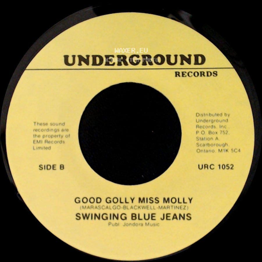 Swinging Blue Jeans - Hippy Hippy Shake / Good Golly Miss Molly side B