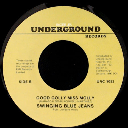 Swinging Blue Jeans - Hippy Hippy Shake / Good Golly Miss Molly side B