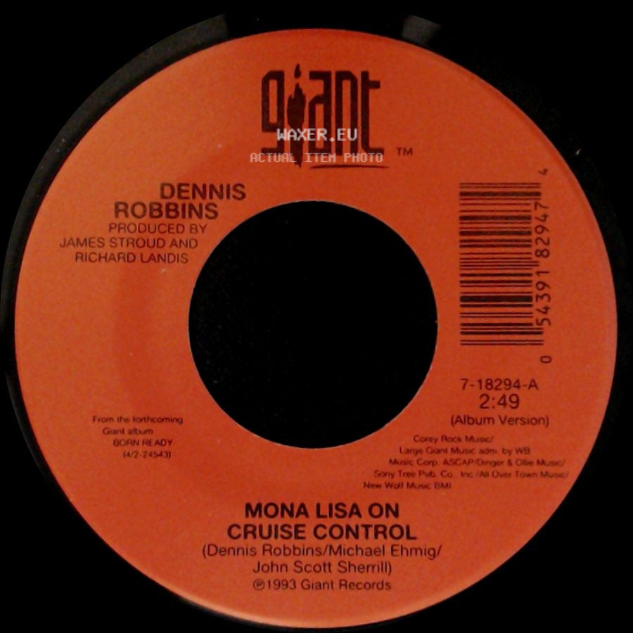 Dennis Robbins - Mona Lisa On Cruise Control / Walkin' On The Edge side A