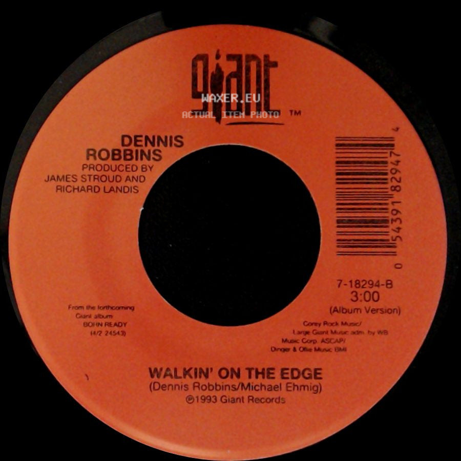 Dennis Robbins - Mona Lisa On Cruise Control / Walkin' On The Edge side B