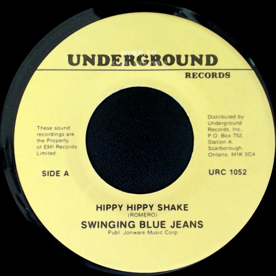 Swinging Blue Jeans - Hippy Hippy Shake / Good Golly Miss Molly side A