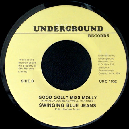 Swinging Blue Jeans - Hippy Hippy Shake / Good Golly Miss Molly side B