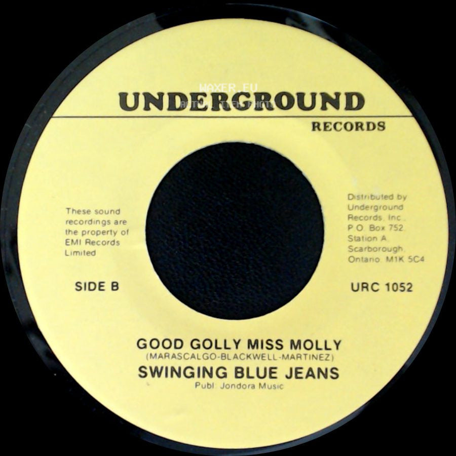 Swinging Blue Jeans - Hippy Hippy Shake / Good Golly Miss Molly side B