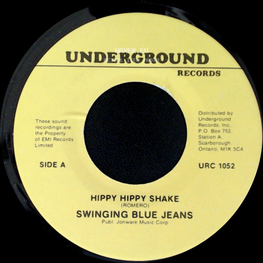 Swinging Blue Jeans - Hippy Hippy Shake / Good Golly Miss Molly side A