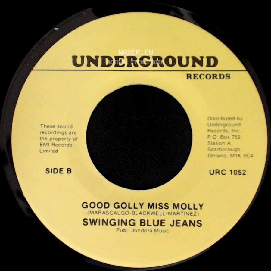 Swinging Blue Jeans - Hippy Hippy Shake / Good Golly Miss Molly side B