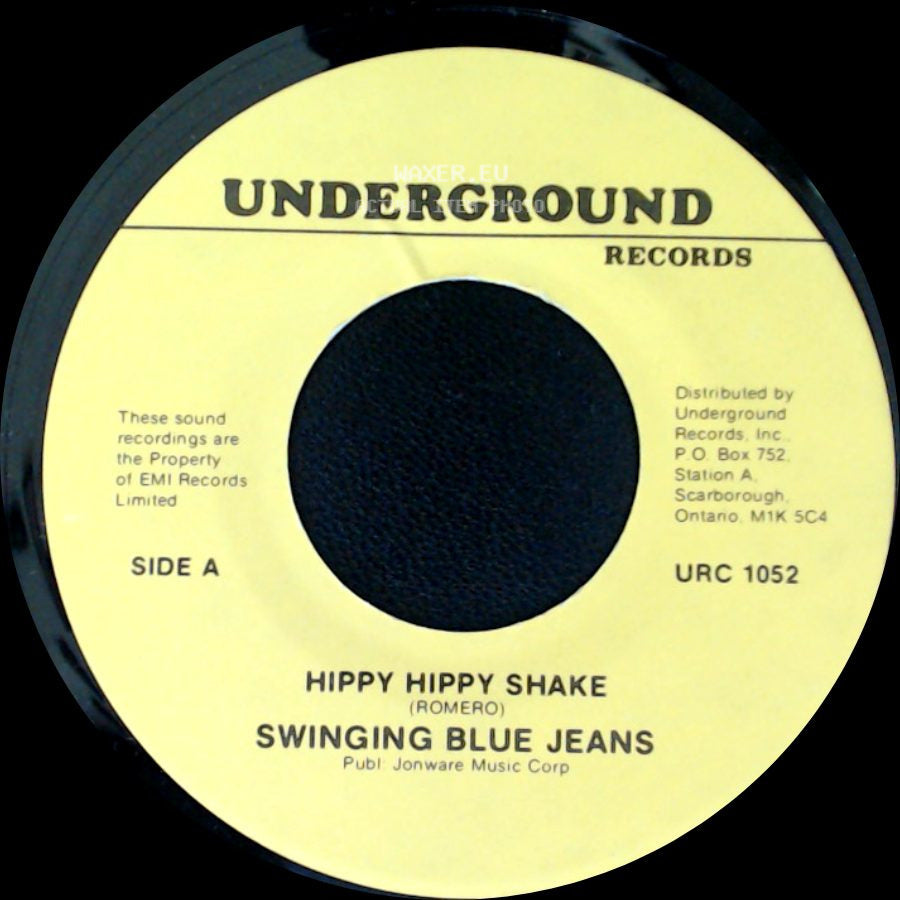 Swinging Blue Jeans - Hippy Hippy Shake / Good Golly Miss Molly side A