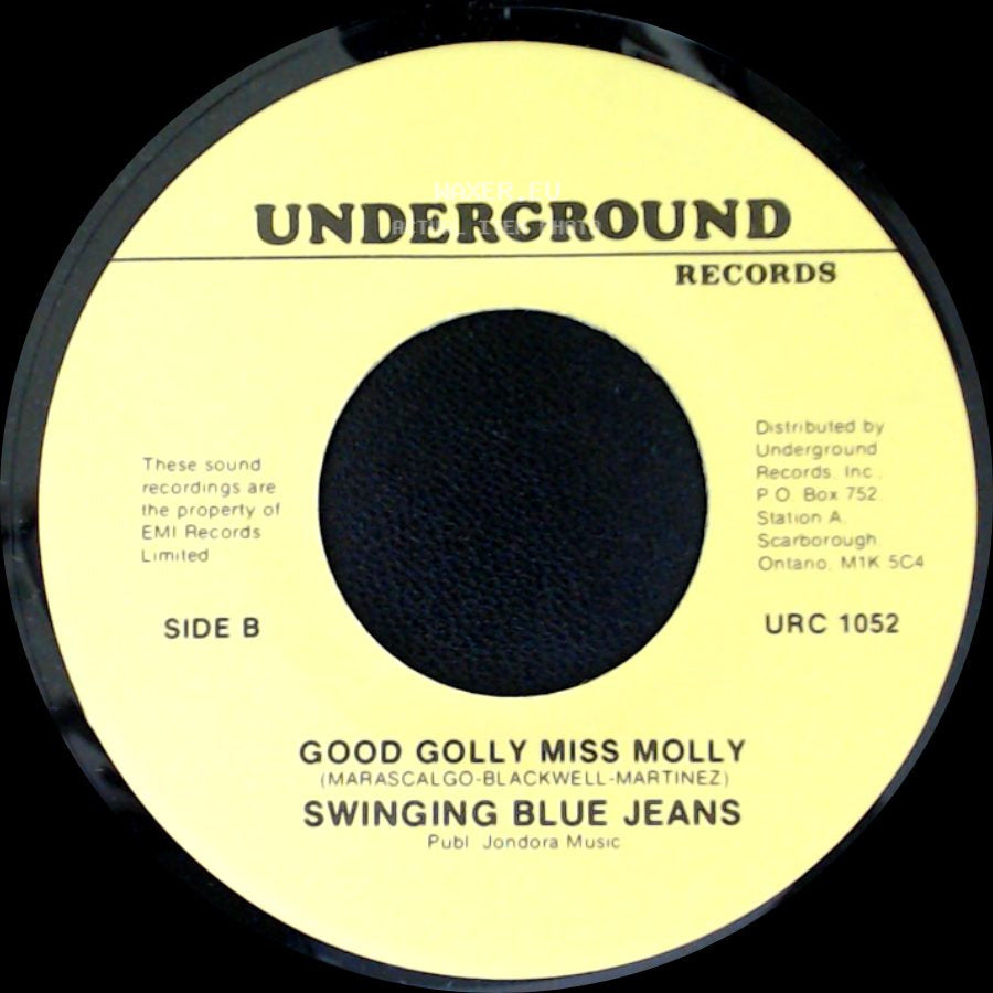 Swinging Blue Jeans - Hippy Hippy Shake / Good Golly Miss Molly side B