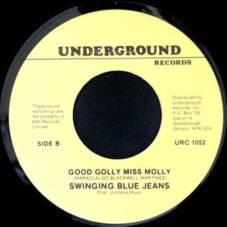 Swinging Blue Jeans - Hippy Hippy Shake / Good Golly Miss Molly side B