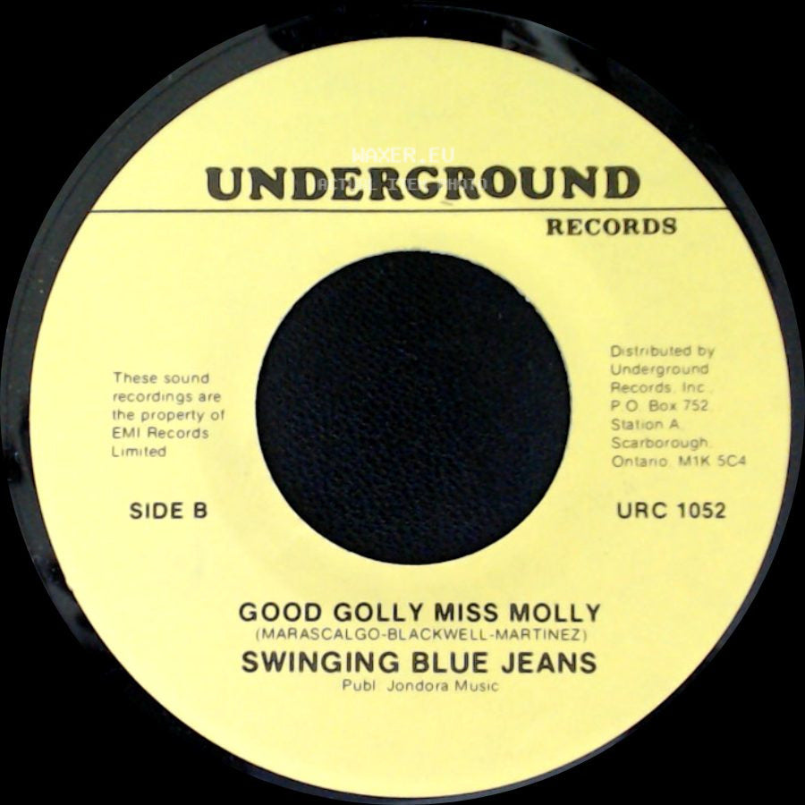 Swinging Blue Jeans - Hippy Hippy Shake / Good Golly Miss Molly side B