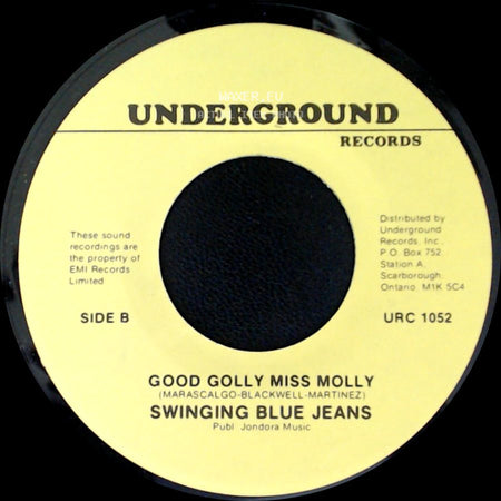 Swinging Blue Jeans - Hippy Hippy Shake / Good Golly Miss Molly side B