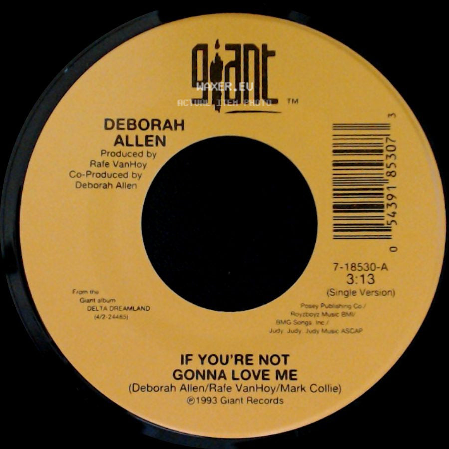 Deborah Allen - If You're Not Gonna Love Me / Long Time Lovin' You side A