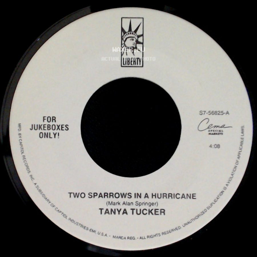 Tanya Tucker - Two Sparrows In A Hurricane / Danger Ahead side A