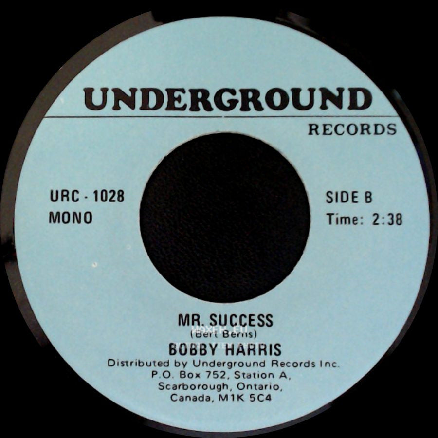 Brian Hyland / Bobby Harris - The Joker Went Wild / Mr. Success side B