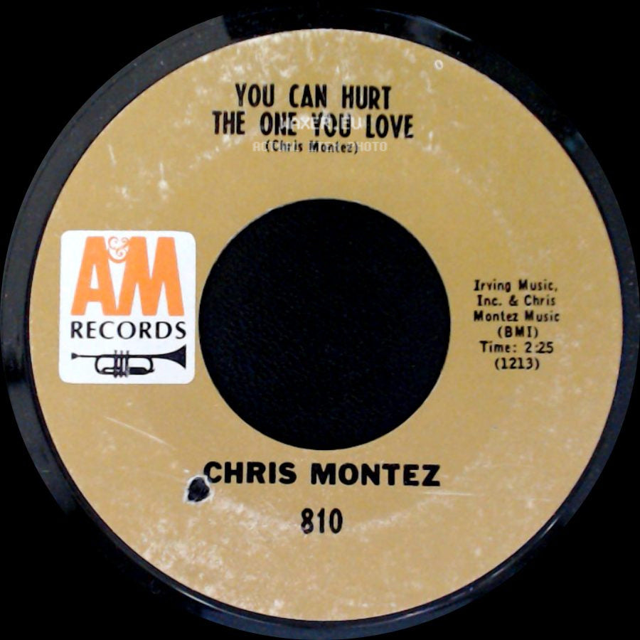 Chris Montez - You Can Hurt The One You Love / There Will Never Be Another You side A