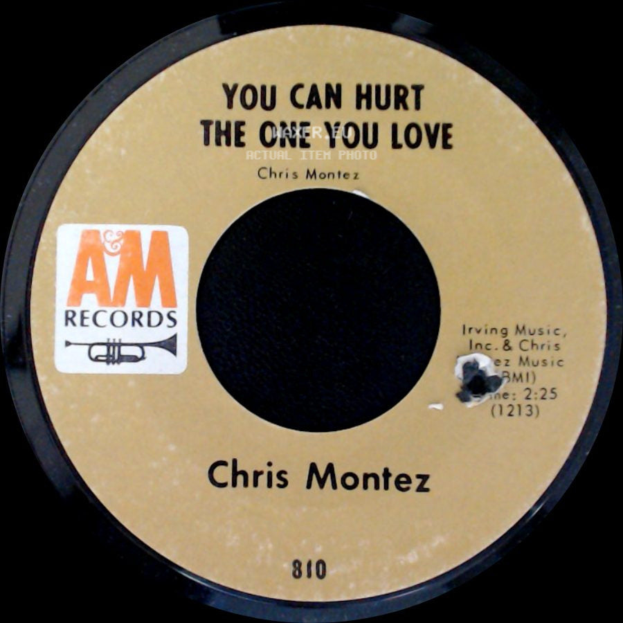 Chris Montez - You Can Hurt The One You Love / There Will Never Be Another You side A