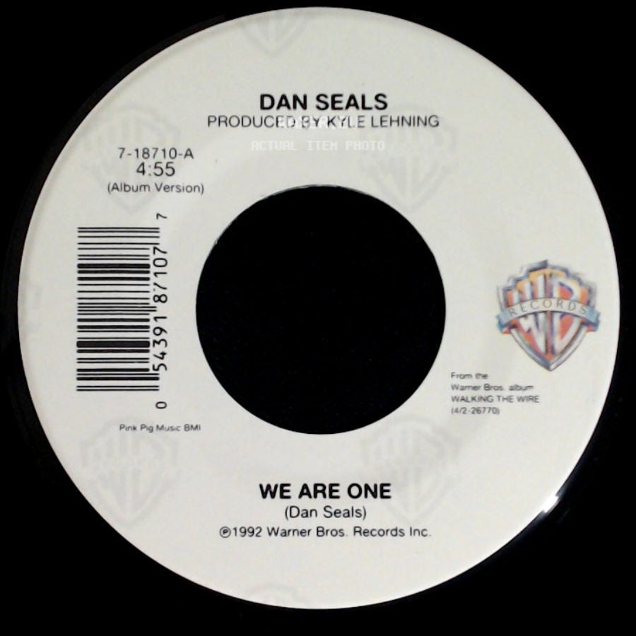 Dan Seals - We Are One / Sweet Little Shoe side A