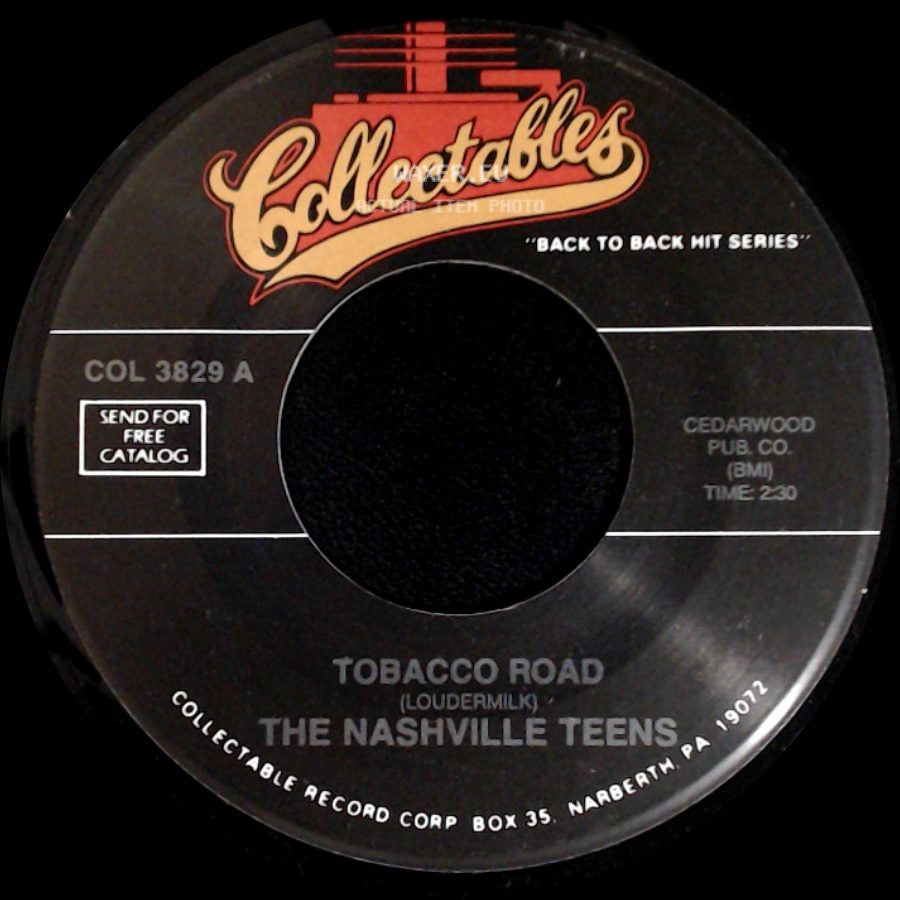 The Nashville Teens / The Troggs - Tobacco Road / A Girl Like You side A
