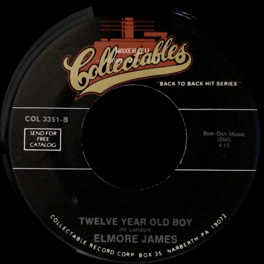 Elmore James - Mean Mistreatin Mama / Twelve Year Old Boy side B
