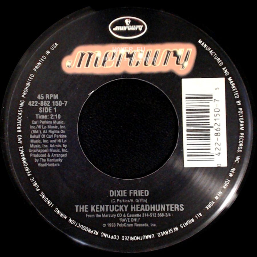 The Kentucky Headhunters - Dixie Fried / Celina Tennessee side A