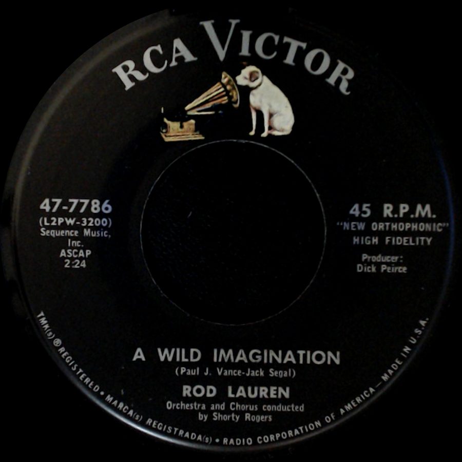 Rod Lauren - A Wild Imagination / The One-Finger Symphony side A