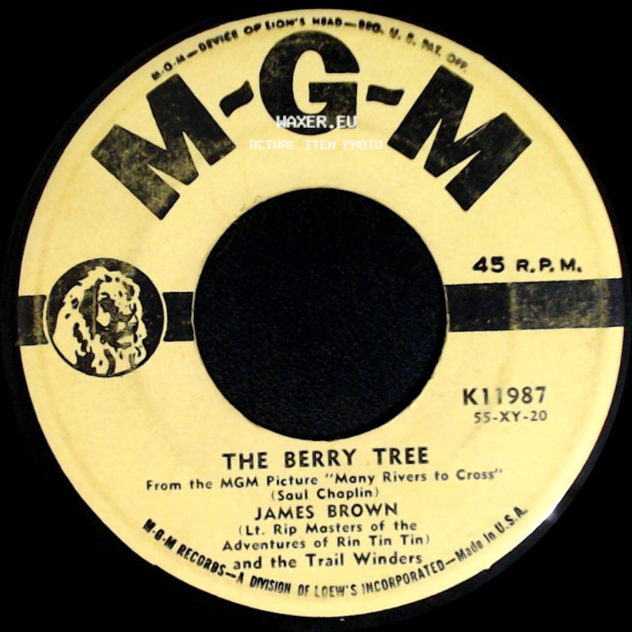 James Brown / James Brown And The Trail Winders - I Lost When I Found You / The Berry Tree side B