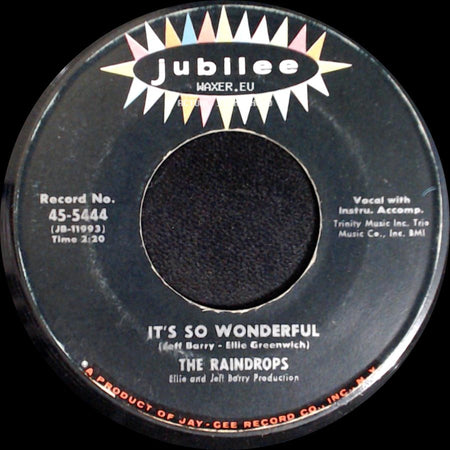 The Raindrops - What A Guy / It's So Wonderful side B