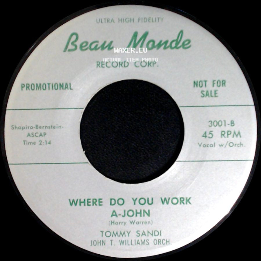 Ray Vasquez / Tommy Sandi - The Bull Fighter / Where Do You Work A-John side B
