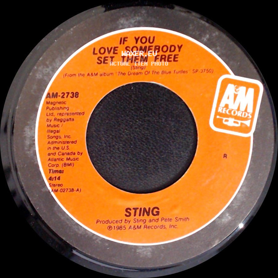 Sting - If You Love Somebody Set Them Free / Another Day side A