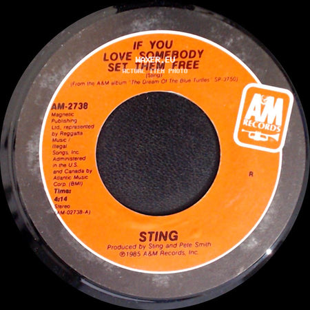 Sting - If You Love Somebody Set Them Free / Another Day side A
