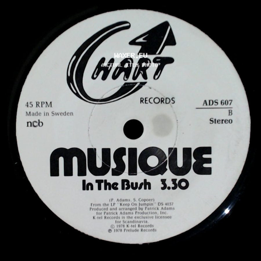 Musique - In The Bush / In The Bush side B