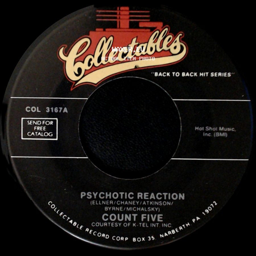 The Pastel Six / Count Five - Cinnamon Cinder / Psychotic Reaction side B