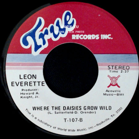 Leon Everette - Goodbye King Of Rock 'n' Roll / Where The Daisies Grow Wild side B