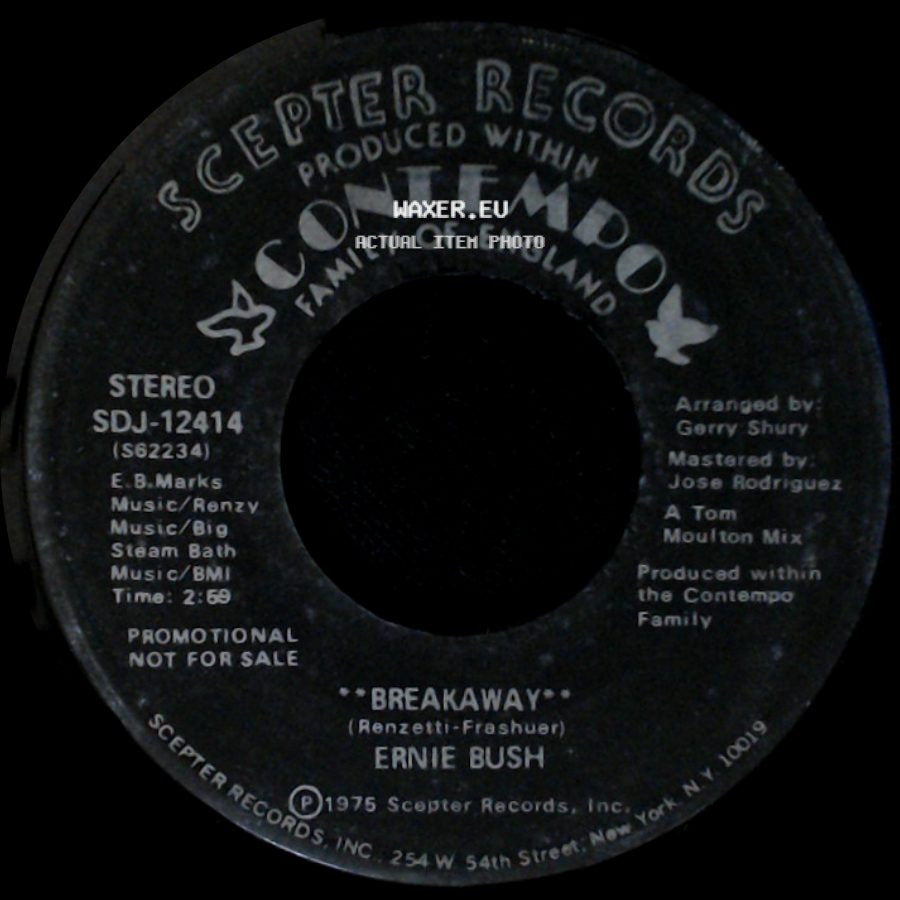 Ernie Bush - Breakaway (Disco Version) / Breakaway side B
