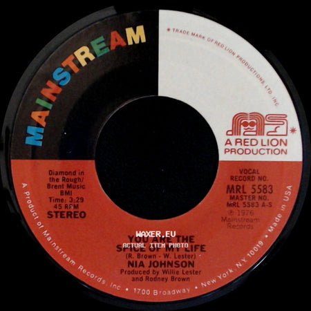 Nia Johnson - You Are The Spice Of My Life / Plain Out Of Luck side A