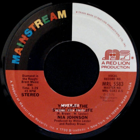 Nia Johnson - You Are The Spice Of My Life / Plain Out Of Luck side A