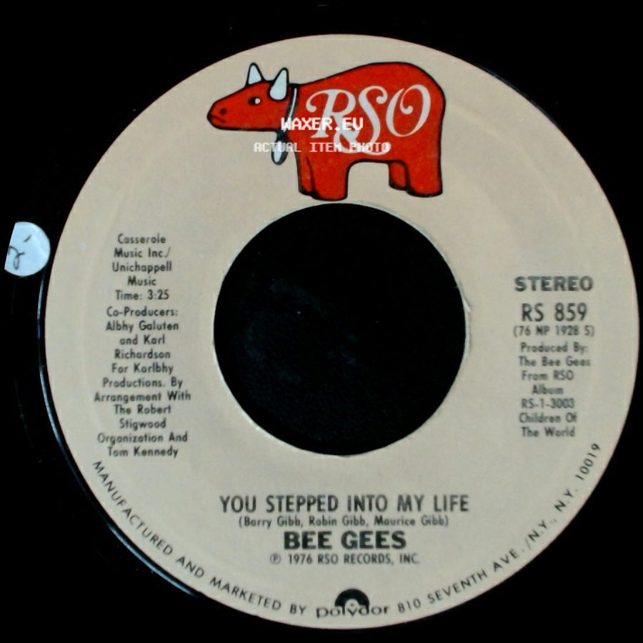 Bee Gees - You Stepped Into My Life / Love So Right side A