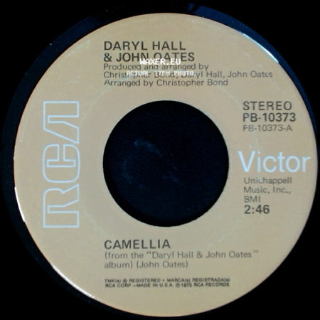 Daryl Hall & John Oates - Camellia / Ennui On The Mountain side A