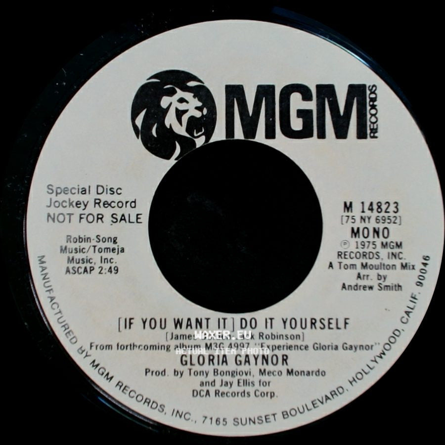 Gloria Gaynor - [If You Want It] Do It Yourself / [If You Want It] Do It Yourself side B