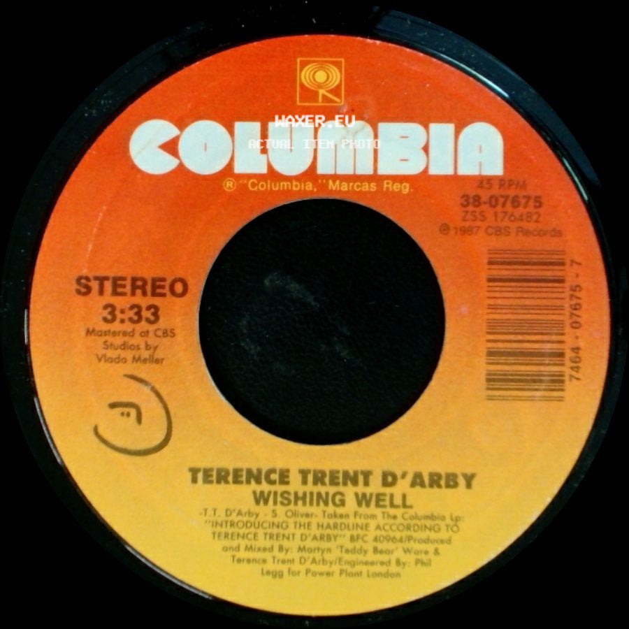 Terence Trent D'arby - Elevators & Hearts / Wishing Well side B
