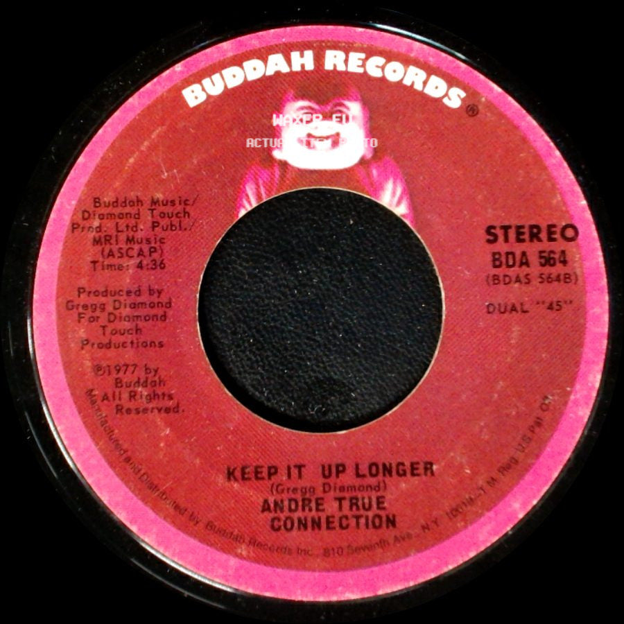 Andrea True Connection - Keep It Up Longer / N.Y., You Got Me Dancing side A