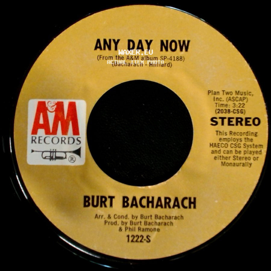 Burt Bacharach - Any Day Now / A House Is Not A Home side A