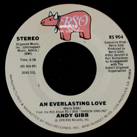 Andy Gibb - Flowing Rivers / An Everlasting Love side B