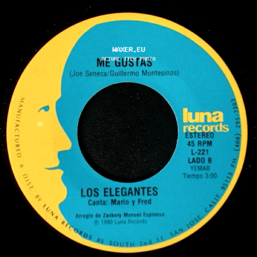 Los Elegantes - Que Miraste En Mi / Me Gustas side B