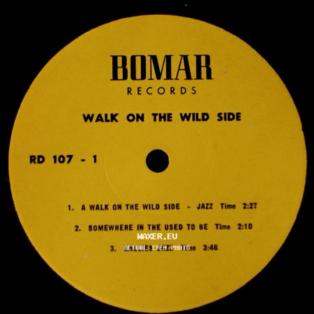 Unknown Artist - Walk On The Wild Side / Walk On The Wild Side side A