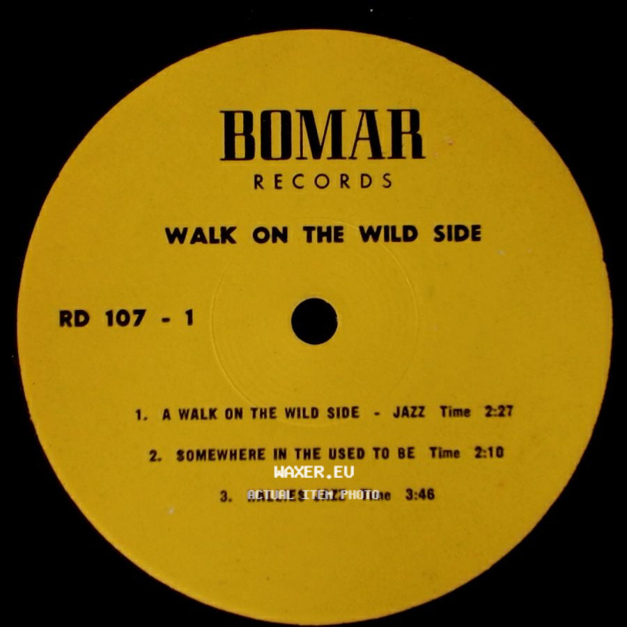Unknown Artist - Walk On The Wild Side / Walk On The Wild Side side A