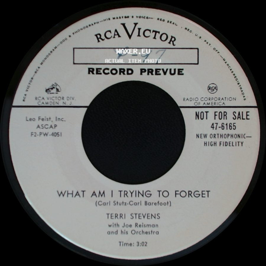 Terri Stevens - Why Am I To Blame? / What Am I Trying To Forget side B