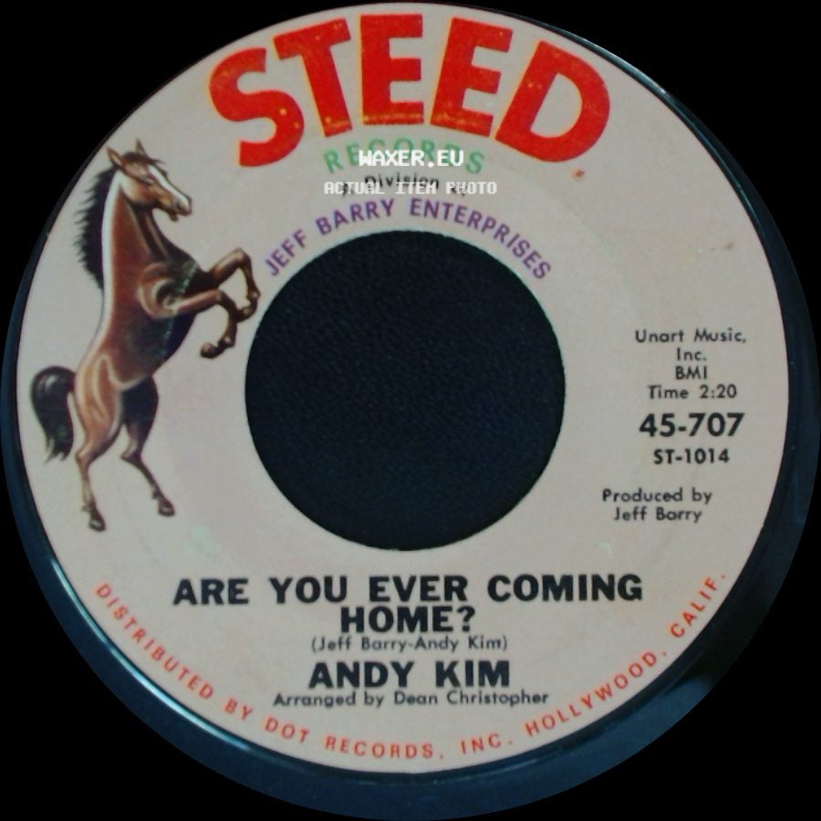 Andy Kim - Are You Ever Coming Home? / How'd We Ever Get This Way? side A