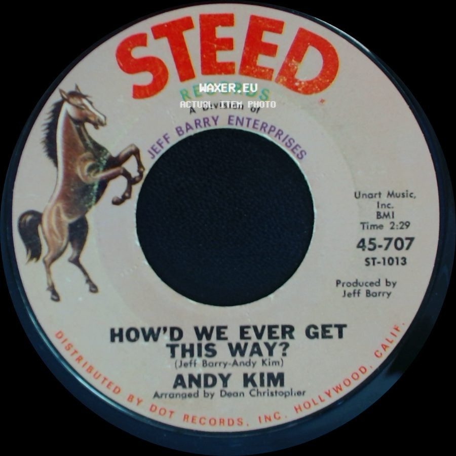 Andy Kim - Are You Ever Coming Home? / How'd We Ever Get This Way? side B