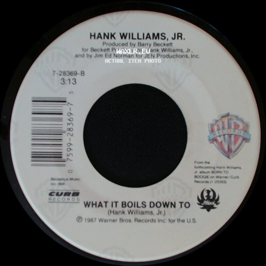 Hank Williams, Jr. - Born To Boogie / What It Boils Down To side B